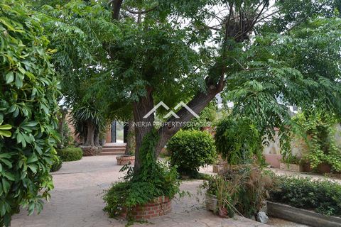 Finca i Nerja, Malaga, Nerja - € 995.000 | Ref: NPSV1436 - foto 25
