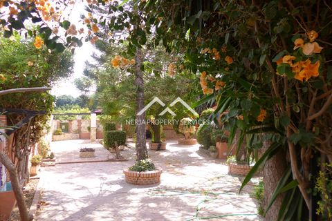 Finca i Nerja, Malaga, Nerja - € 995.000 | Ref: NPSV1436 - foto 32