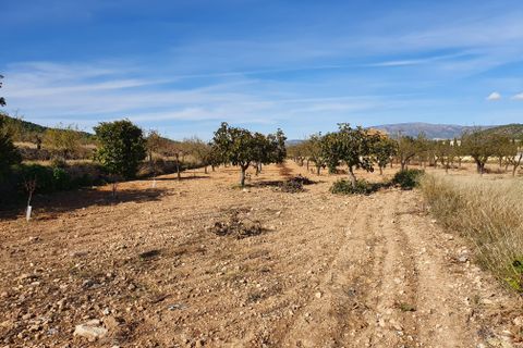 Byhus i Casas Del Senor, Alicante, Casas Del Senor - € 199.950 | Ref: CF2104 - foto 43