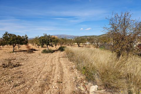 Byhus i Casas Del Senor, Alicante, Casas Del Senor - € 199.950 | Ref: CF2104 - foto 44