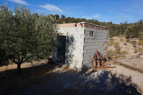 Finca i Lanjaron, Granada, Lanjaron - € 119.000 | Ref: LC328 - foto 18