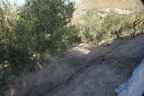 Finca i Lanjaron, Granada, Lanjaron - € 119.000 | Ref: LC328 - foto 16
