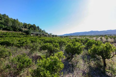 Helårsgrund i Sagra, Alicante, Sagra - € 120.000 | Ref: 00750 - foto 2
