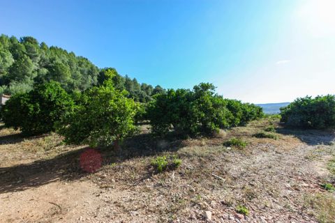 Helårsgrund i Sagra, Alicante, Sagra - € 120.000 | Ref: 00750 - foto 3