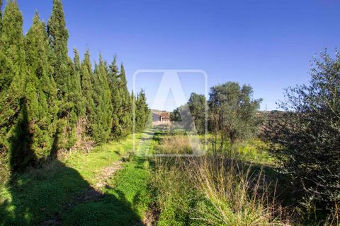 Finca i Moraira, Alicante, Moraira - € 2.985.000 | Ref: VMR0114 - foto 5