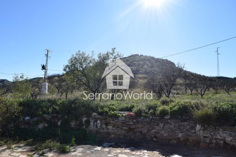 Landejendom i Cantoria, Almeria, Cantoria - € 70.000 | Ref: Cortijo Morilla - foto 30