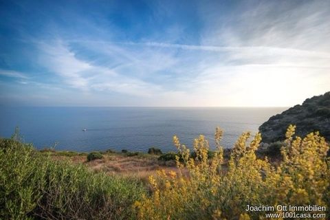 Maa Port D'andratxssa, Mallorca, Port D'andratx - € 1 950 000 | Viite: 1001-S-2429 - valokuva 5