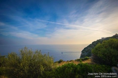 Maa Port D'andratxssa, Mallorca, Port D'andratx - € 1 950 000 | Viite: 1001-S-2429 - valokuva 6