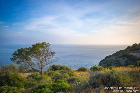 Maa Port D'andratxssa, Mallorca, Port D'andratx - € 1 950 000 | Viite: 1001-S-2429 - valokuva 7