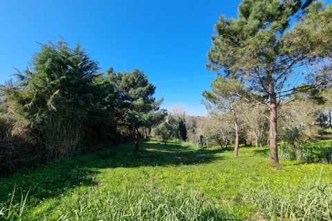 Helårsgrund i Carvalhal, Leiria, Carvalhal - € 65.000 | Ref: BL469 - foto 1