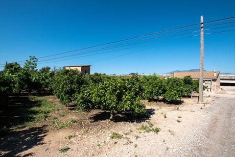 Finca i Tortosa, Tarragona, Tortosa - € 65.000 | Ref: 361 - foto 8