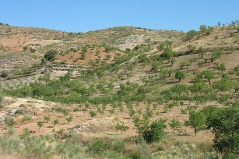 Cortijo i Turon, Granada, Turon - € 79.999 | Ref: CJ141 - foto 6