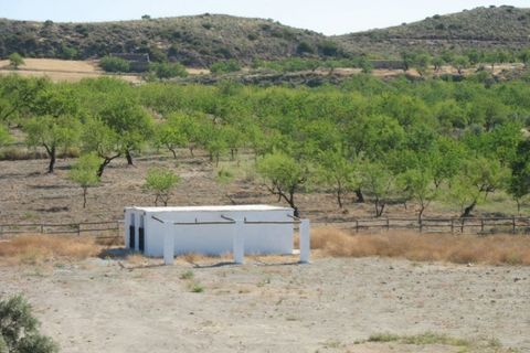 Cortijo i Turon, Granada, Turon - € 79.999 | Ref: CJ141 - foto 5