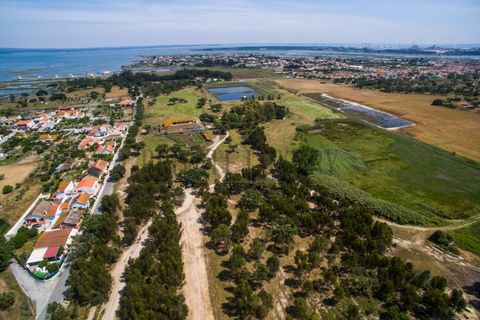 Tomt i Ermidas do Sado, Setubal, Ermidas do Sado - € 8 500 000 | Ref: 8693 - foto 4