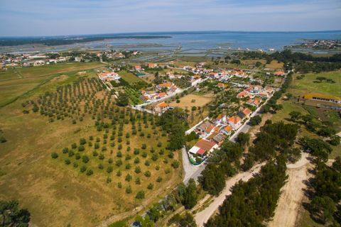 Tomt i Ermidas do Sado, Setubal, Ermidas do Sado - € 8 500 000 | Ref: 8693 - foto 2