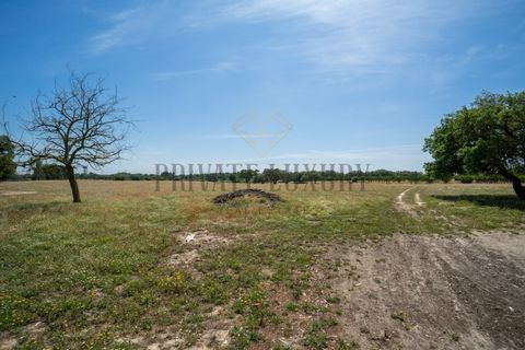 Tomt i Ermidas do Sado, Setubal, Ermidas do Sado - € 8 500 000 | Ref: 8693 - foto 12
