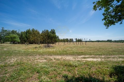 Tomt i Ermidas do Sado, Setubal, Ermidas do Sado - € 8 500 000 | Ref: 8693 - foto 13