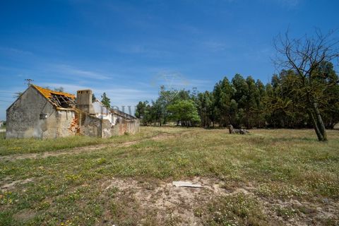 Tomt i Ermidas do Sado, Setubal, Ermidas do Sado - € 8 500 000 | Ref: 8693 - foto 6