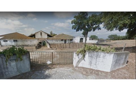 Tomt i Ermidas do Sado, Setubal, Ermidas do Sado - € 8 500 000 | Ref: 8693 - foto 3