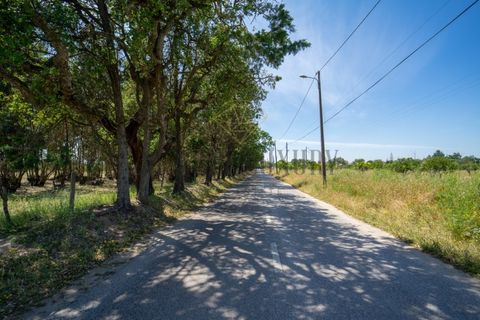 Tomt i Ermidas do Sado, Setubal, Ermidas do Sado - € 8 500 000 | Ref: 8693 - foto 15