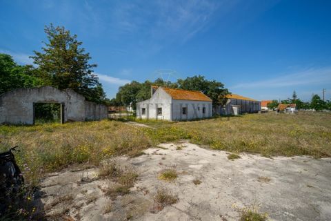 Tomt i Ermidas do Sado, Setubal, Ermidas do Sado - € 8 500 000 | Ref: 8693 - foto 16