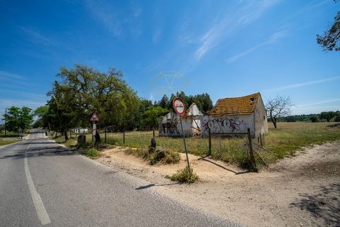 Tomt i Ermidas do Sado, Setubal, Ermidas do Sado - € 8 500 000 | Ref: 8693 - foto 17