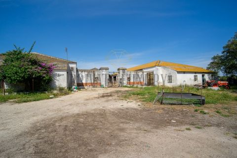 Tomt i Ermidas do Sado, Setubal, Ermidas do Sado - € 8 500 000 | Ref: 8693 - foto 8