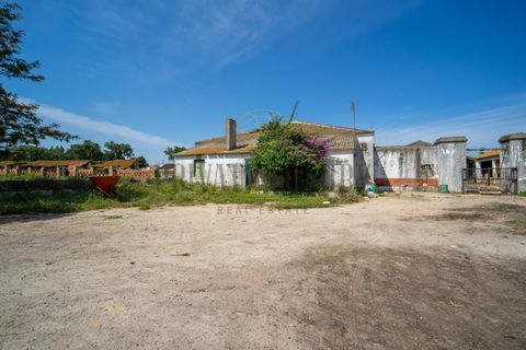 Tomt i Ermidas do Sado, Setubal, Ermidas do Sado - € 8 500 000 | Ref: 8693 - foto 11