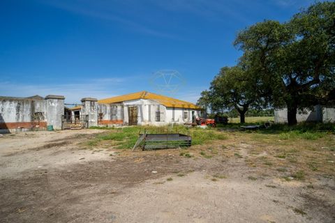 Tomt i Ermidas do Sado, Setubal, Ermidas do Sado - € 8 500 000 | Ref: 8693 - foto 19
