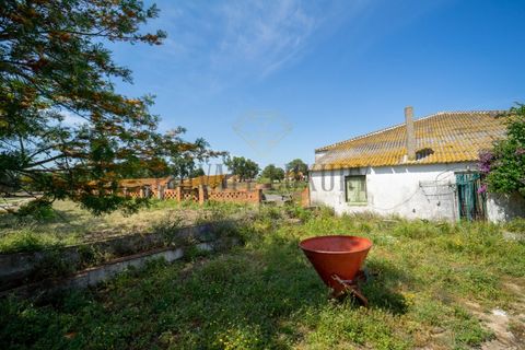 Tomt i Ermidas do Sado, Setubal, Ermidas do Sado - € 8 500 000 | Ref: 8693 - foto 20
