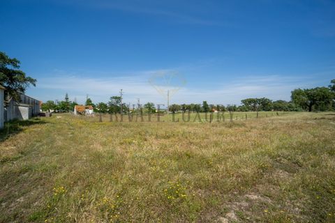 Tomt i Ermidas do Sado, Setubal, Ermidas do Sado - € 8 500 000 | Ref: 8693 - foto 21
