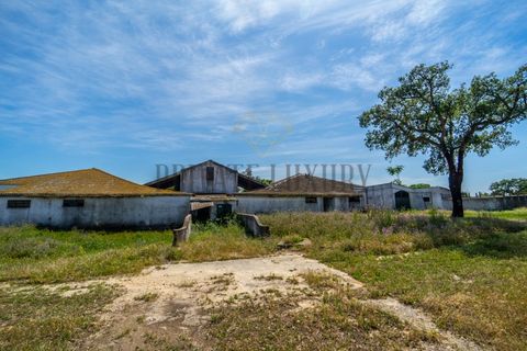 Tomt i Ermidas do Sado, Setubal, Ermidas do Sado - € 8 500 000 | Ref: 8693 - foto 22
