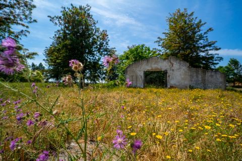 Tomt i Ermidas do Sado, Setubal, Ermidas do Sado - € 8 500 000 | Ref: 8693 - foto 23
