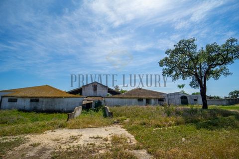 Tomt i Ermidas do Sado, Setubal, Ermidas do Sado - € 8 500 000 | Ref: 8693 - foto 24