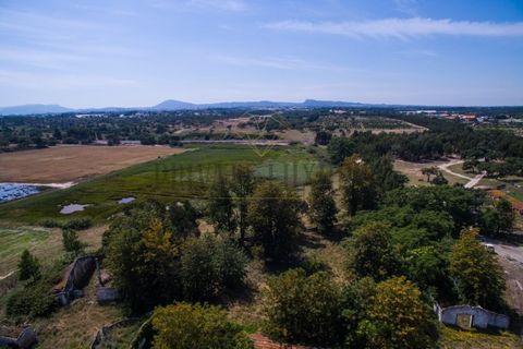 Tomt i Ermidas do Sado, Setubal, Ermidas do Sado - € 8 500 000 | Ref: 8693 - foto 25