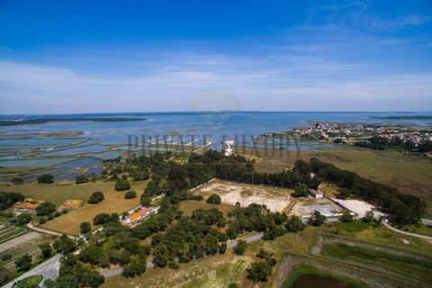 Tomt i Ermidas do Sado, Setubal, Ermidas do Sado - € 8 500 000 | Ref: 8693 - foto 33