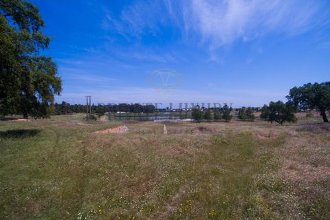 Tomt i Ermidas do Sado, Setubal, Ermidas do Sado - € 8 500 000 | Ref: 8693 - foto 26