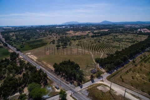 Tomt i Ermidas do Sado, Setubal, Ermidas do Sado - € 8 500 000 | Ref: 8693 - foto 27