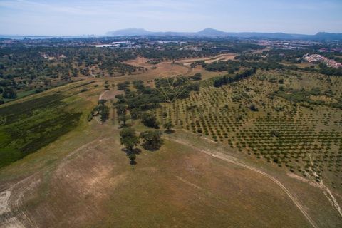 Tomt i Ermidas do Sado, Setubal, Ermidas do Sado - € 8 500 000 | Ref: 8693 - foto 28