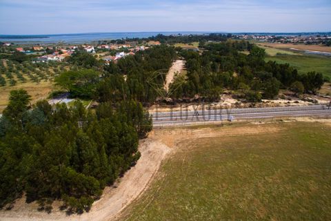 Tomt i Ermidas do Sado, Setubal, Ermidas do Sado - € 8 500 000 | Ref: 8693 - foto 31
