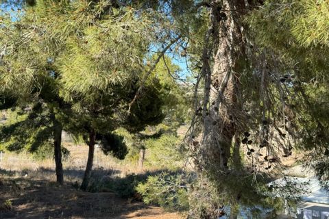 Helårsgrund i Moraira, Alicante, Moraira - € 299.500 | Ref: P0310 - foto 40