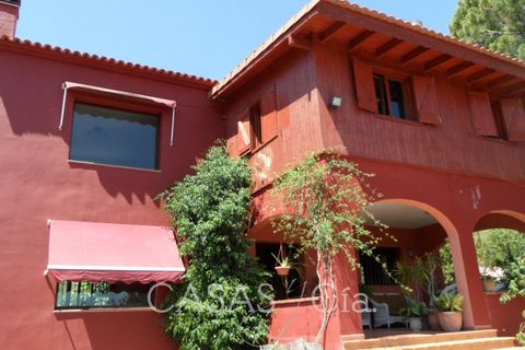 Villa i Oliva, Valencia, Oliva - € 370.000 | Ref: z622 - foto 2