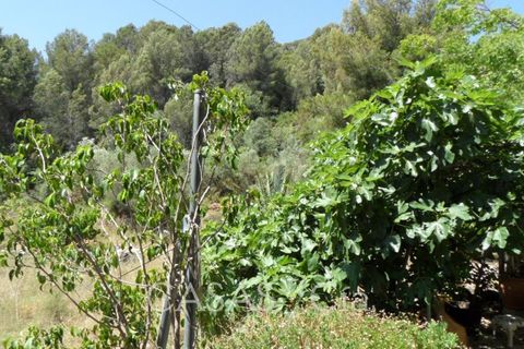 Villa i Oliva, Valencia, Oliva - € 370.000 | Ref: z622 - foto 9