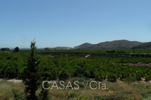 Villa i Oliva, Valencia, Oliva - € 370.000 | Ref: z622 - foto 17