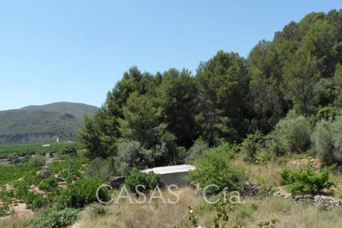 Villa i Oliva, Valencia, Oliva - € 370.000 | Ref: z622 - foto 19