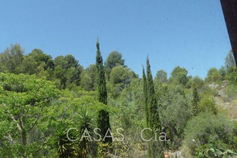Villa i Oliva, Valencia, Oliva - € 370.000 | Ref: z622 - foto 21
