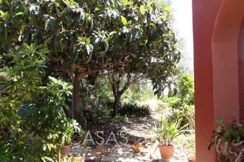 Villa i Oliva, Valencia, Oliva - € 370.000 | Ref: z622 - foto 24