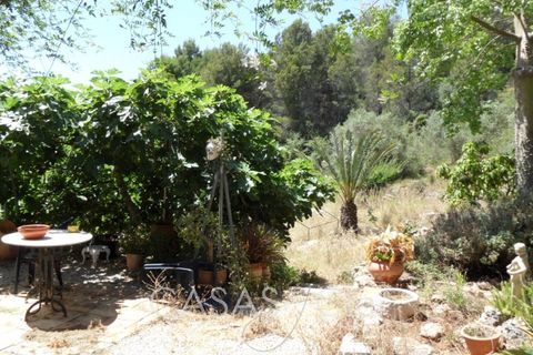 Villa i Oliva, Valencia, Oliva - € 370.000 | Ref: z622 - foto 27