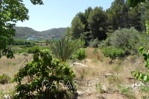 Villa i Oliva, Valencia, Oliva - € 370.000 | Ref: z622 - foto 29