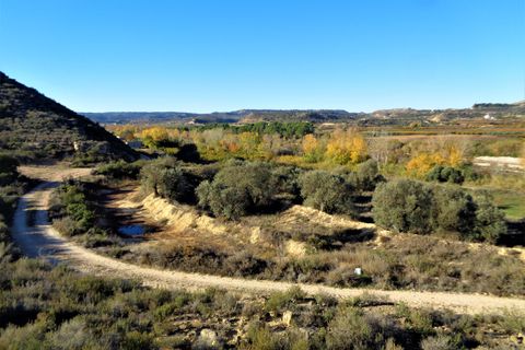 Finca i Maella, Zaragoza, Maella - € 18.000 | Ref: 0648 - foto 12